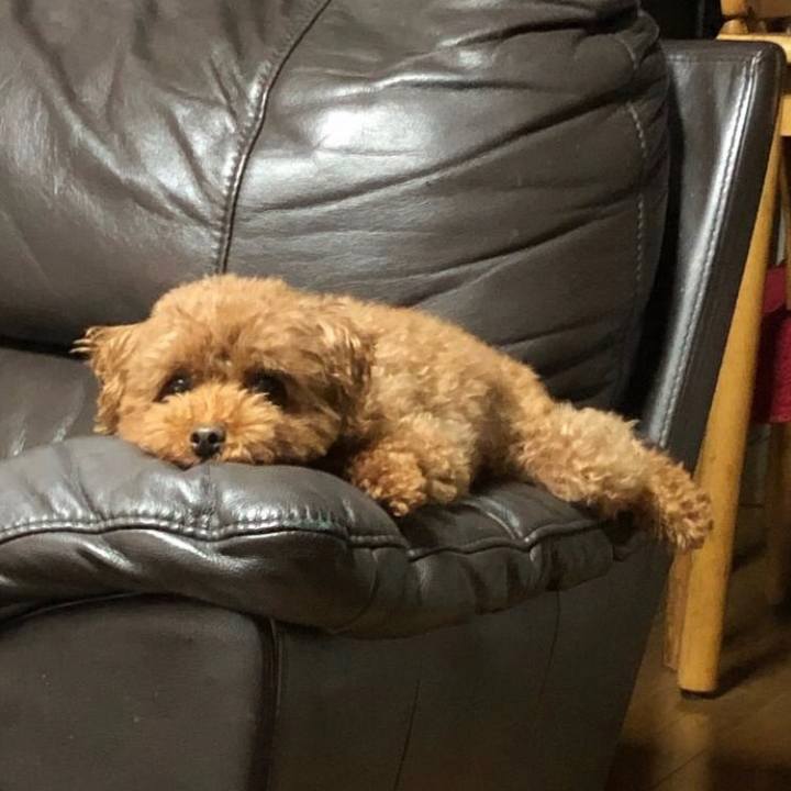 78cab54a 5ed3 41d8 9c4d 9704fd6db285 1612504192274