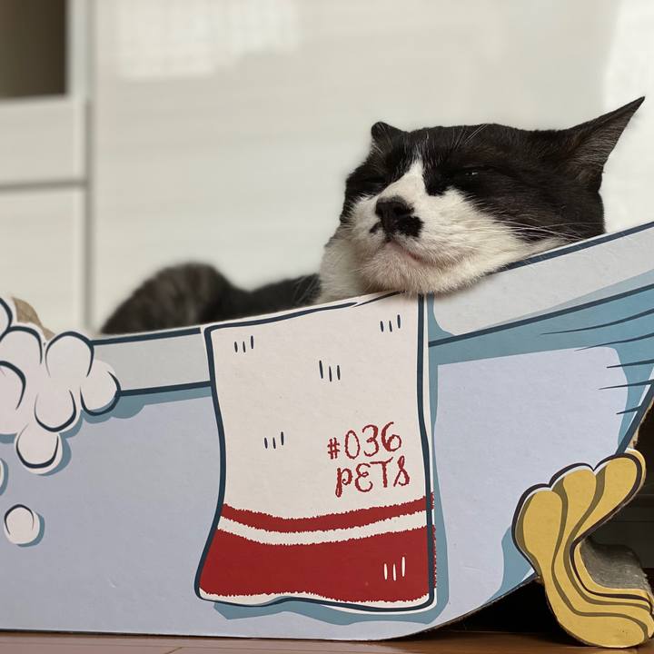 78cafcf6 6f01 4b59 929b a6412ce63acd 1599618443729