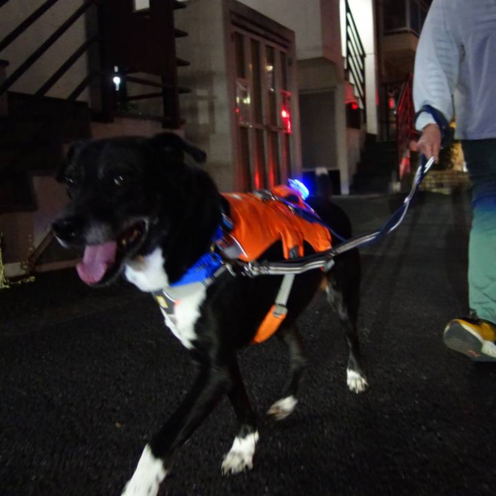 78cb015d 38f8 48e0 8d3e 0f6d01467945 1745579322025