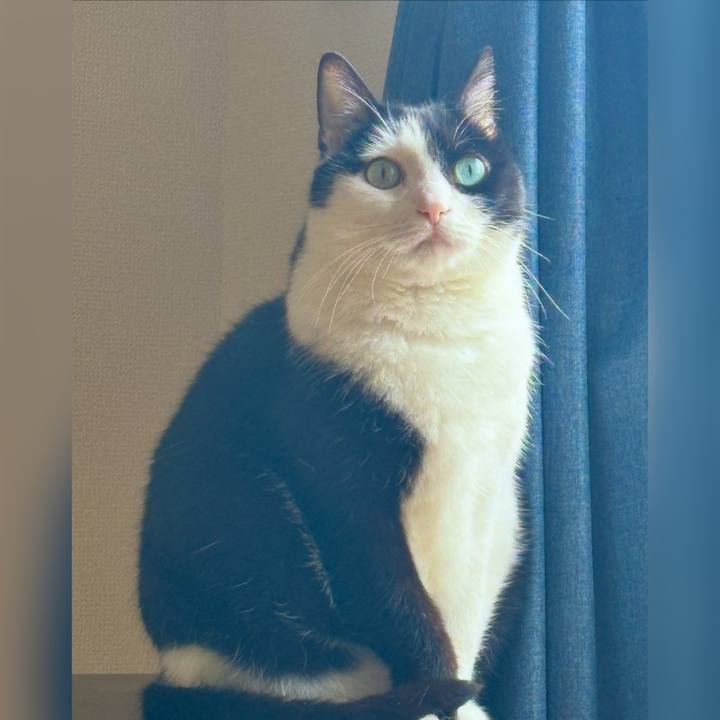 78cb3668 5a94 4f35 95df 97a322db9706 1749096374601