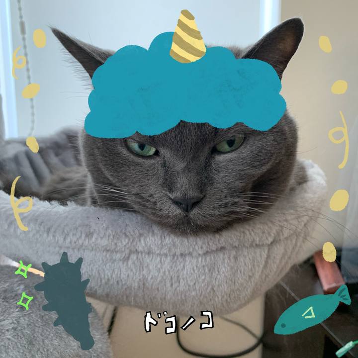 78cb3d2b 06f4 401f 9959 0ad2e23b0b95 1706967451474