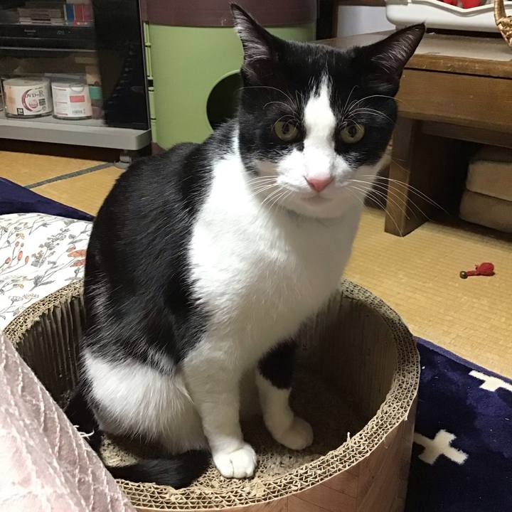 78cb6b84 24f9 41cb a3aa de2b67ce4645 1706097203586