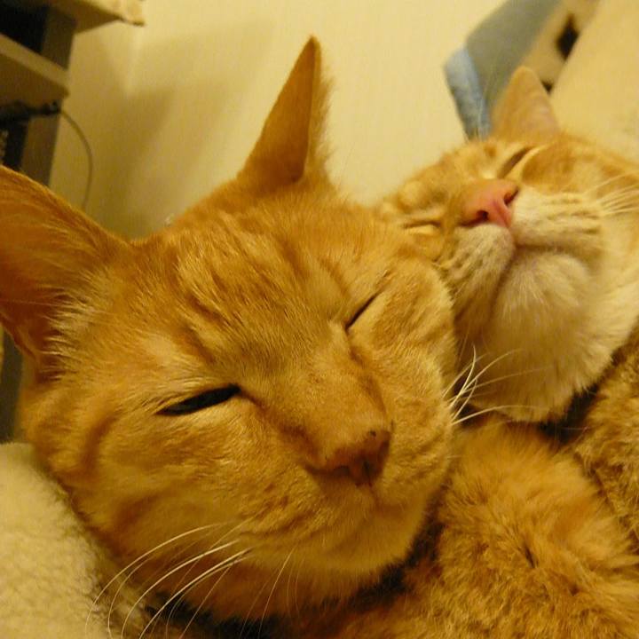 78cb6f87 14bc 4559 baf3 92ebbb518d6a 1701072843977