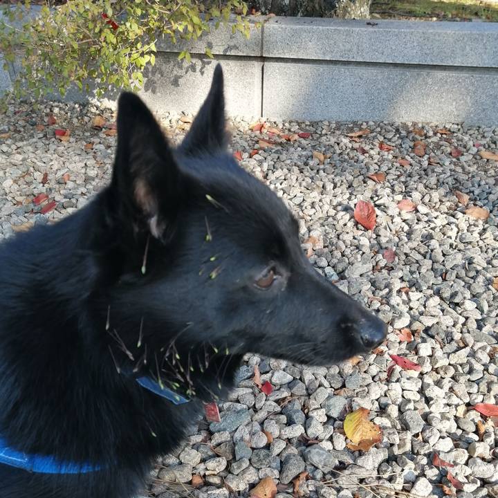 78cb7083 e095 4a78 812b 8da57411432d 1604102010917