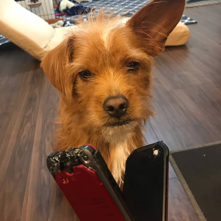 78cb9233 6381 45d4 a38c a5b49dd2b43e 1543746029473