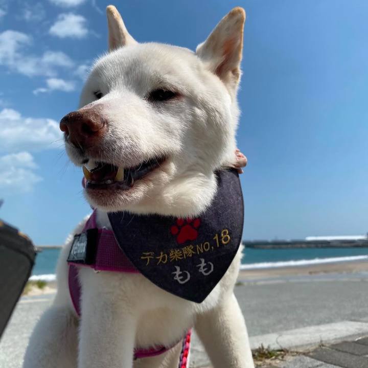 78cbb524 252d 4f75 abe9 a1f9db435ce0 1734825673397