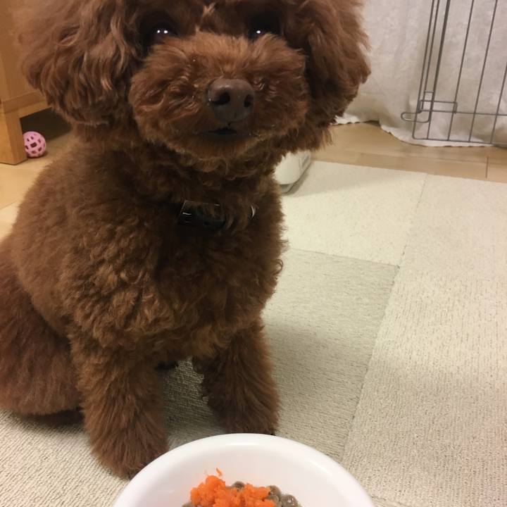 78cbd7c4 35b3 4ddf bdca 6d60ccf9cfc1 1527028813424