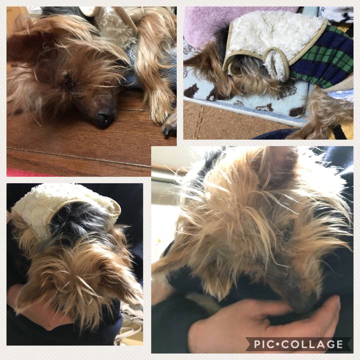 78cbf93c 12b0 42d3 8a11 899e67880310 1515847631523