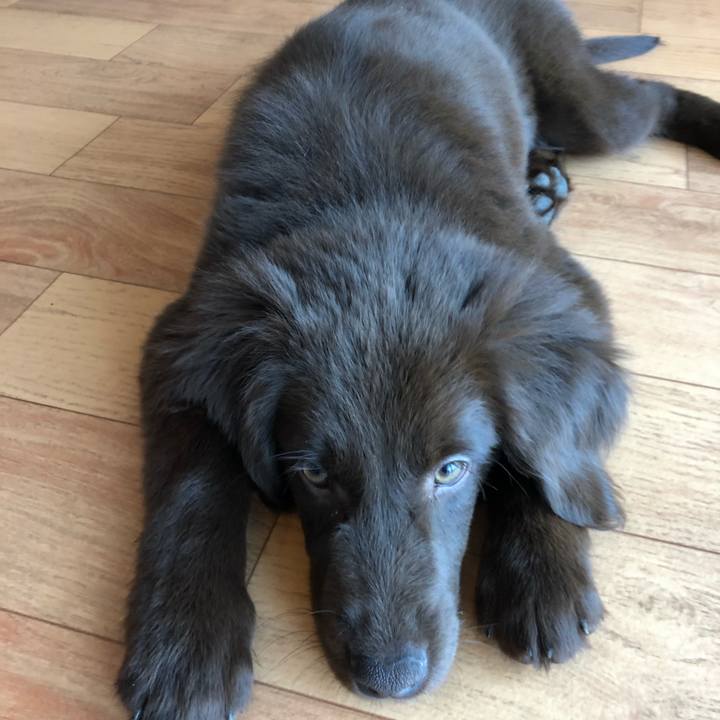 78cc02a1 6b3a 43af b968 2274b6f877a2 1552690713852