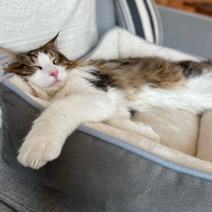 78cc1cb1 8a9a 4d8a 906c e4dba042b417 1645947319016