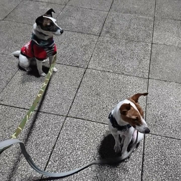 78cc259b e8cf 4b3b 9185 2876585f42e4 1524139435775