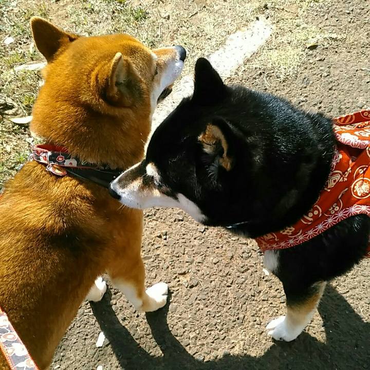 78cc5482 2d23 4582 9e95 ddaeae041b84 1553656524573