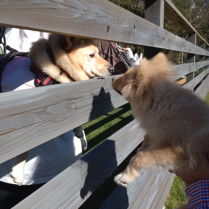 78cc6933 c333 410f ac55 be2293b89dd5 1728895396807