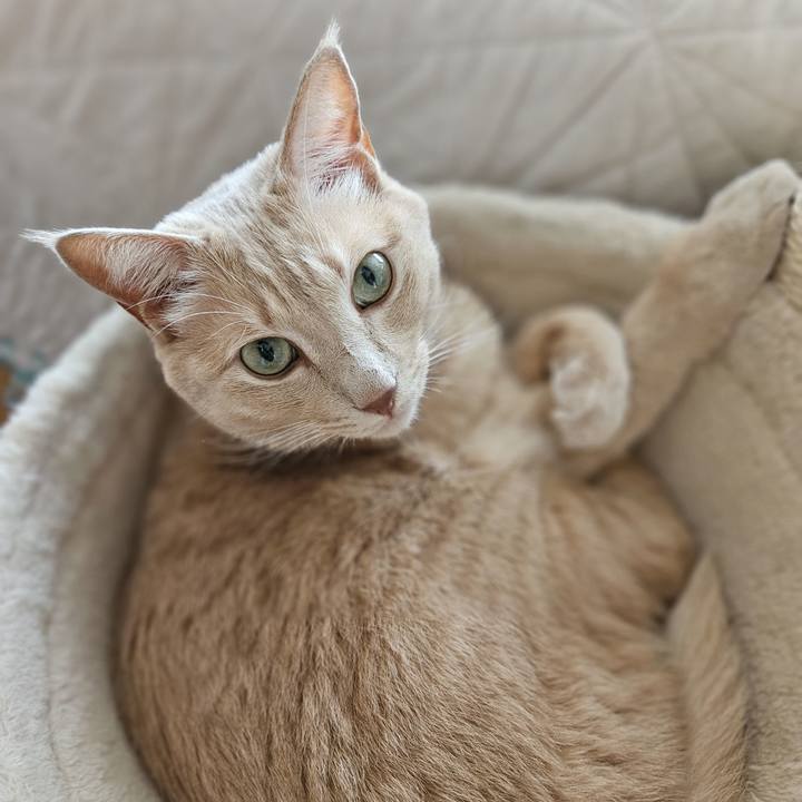 78cc87bb d089 4209 a597 773fe9bb0c9a 1694236295987