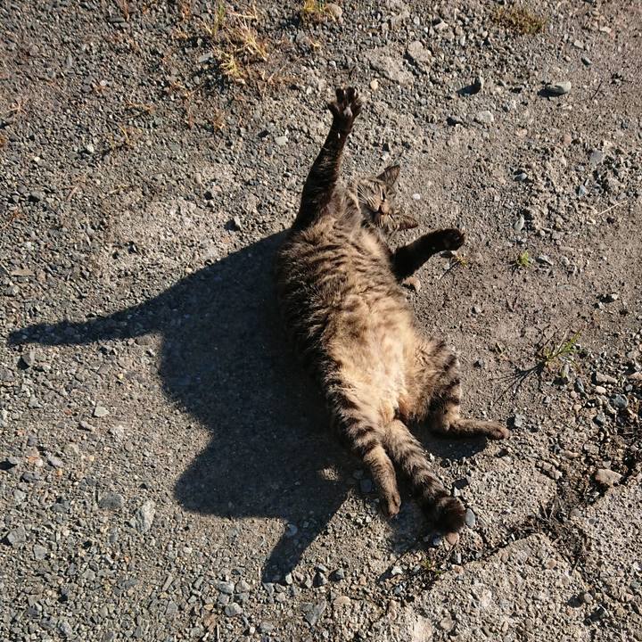 78ccaa2c b36e 4ccd a899 d379cce70904 1662420073119