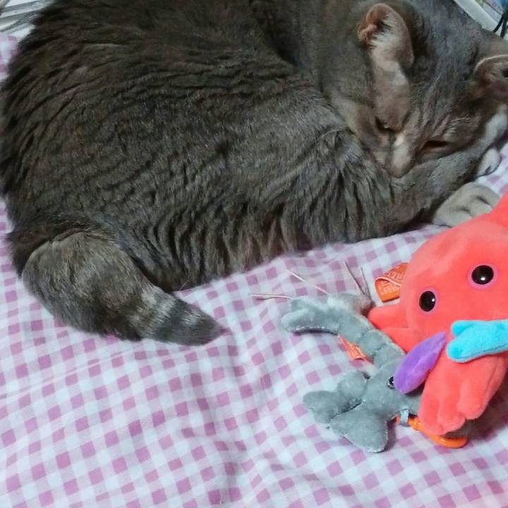 78cccc02 2bf7 4ca2 b3ce d353a5282ad5 1590438805096