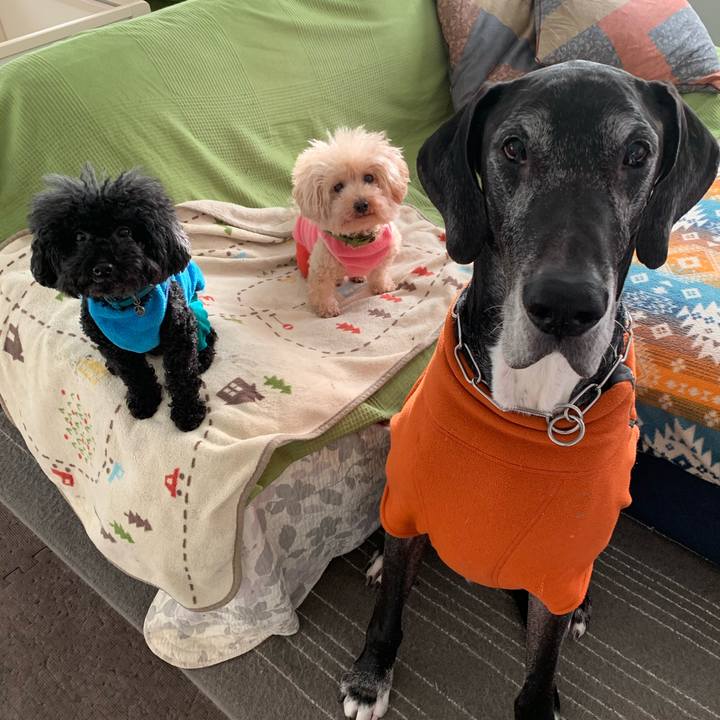 78cce710 f8d4 42c5 9734 3079f8b16ee7 1574981281888