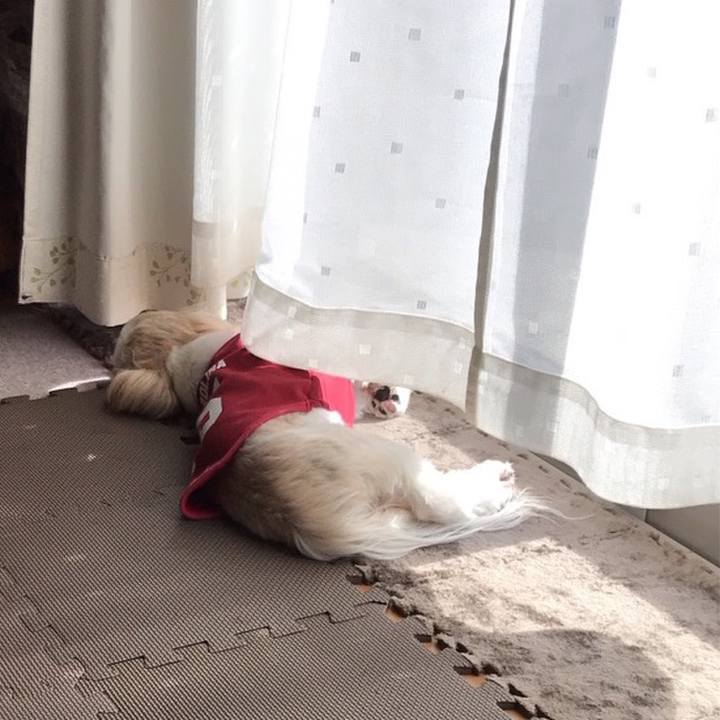 78cd085b 9356 4f7f b2da 11774b5cbc0d 1581479655772