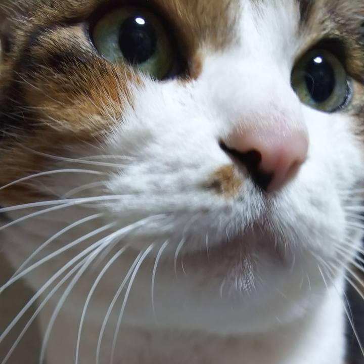 78cd3f69 d353 4572 ad94 f2cf02e3942e 1575237139770