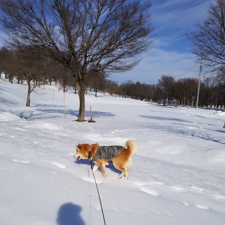 78cd6a9c b65c 4a8b 8eb4 b6b07886efc0 1640319272016