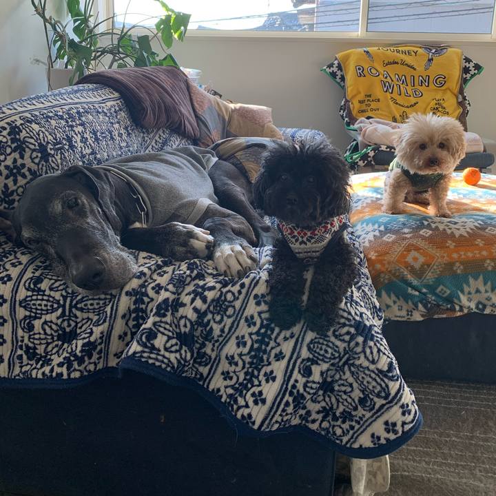 78cd7c92 7e10 4de5 b3bd f09276a550bb 1583880550765