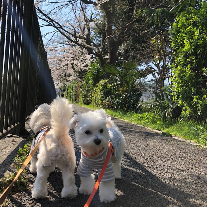 78cdafb7 b656 4de0 82b1 7a944945f319 1521942849159