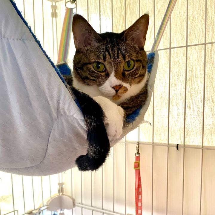 78cdb51c 6839 4315 b1a8 193cd2d31365 1749518357907