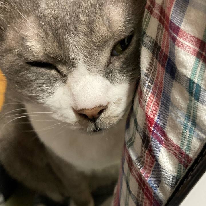 78cdd496 269e 41ff adb3 df375d545e70 1685608849807