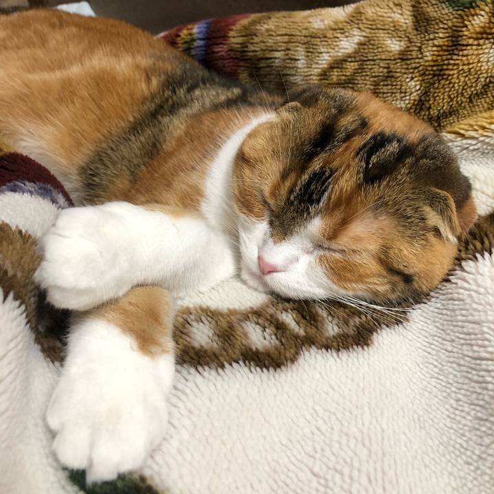 78ce045c 713e 4b4a a7f1 589becd0df94 1525429696830