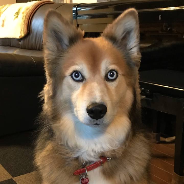 78ce2e0e 3ff4 480f b438 03c291daf054 1580550108223