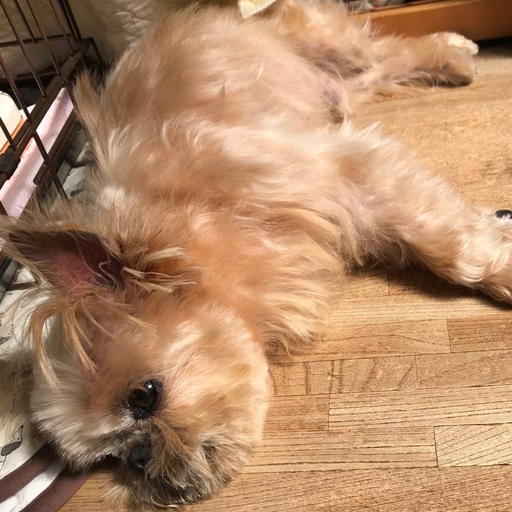 78ce4057 f588 4388 a72e 2109ef33077a 1588897975619