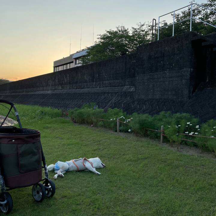 78ce9797 2eb5 477b 8eb4 265080b99405 1656680120590