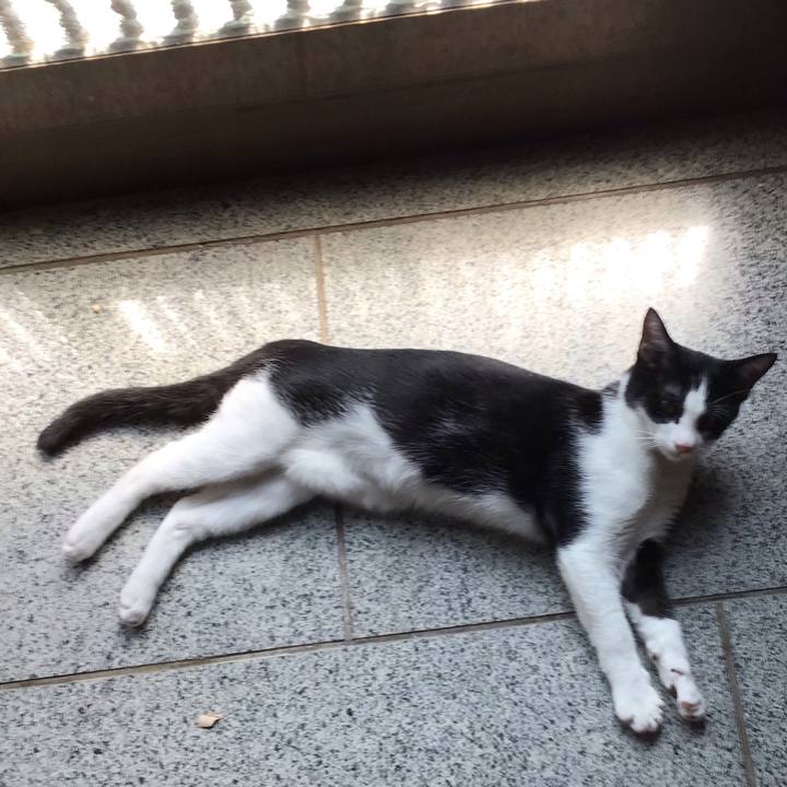 78cead06 7d32 4889 a69f 1f9b0845ee54 1630213609330