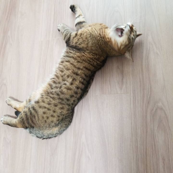 78ced0f0 fa9e 4a80 923c b7f311ac394f 1587418771079