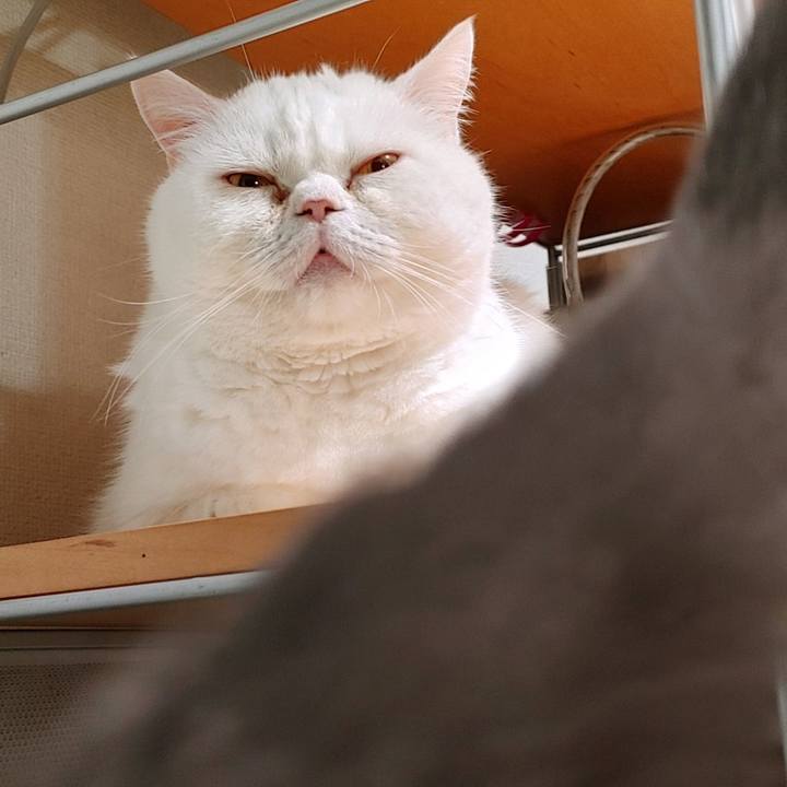 78ceeb7a ff1e 4805 b884 3eff173c0de4 1647260936423