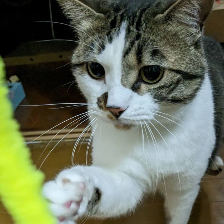 78cef677 8ff3 481a 864c f0b95e971086 1684070241205