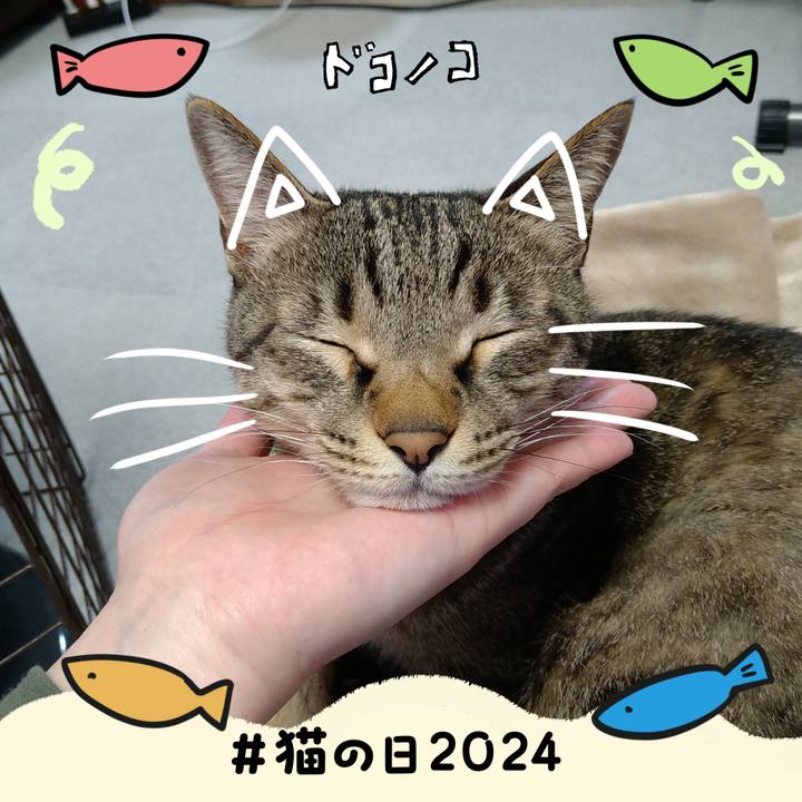 78cf472e 7d97 4e76 b77e 666ec788d11b 1708574214974