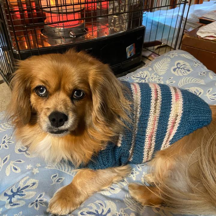 78cf4e5a 33b0 4513 b9dc 80ffed20ce7e 1608762131716