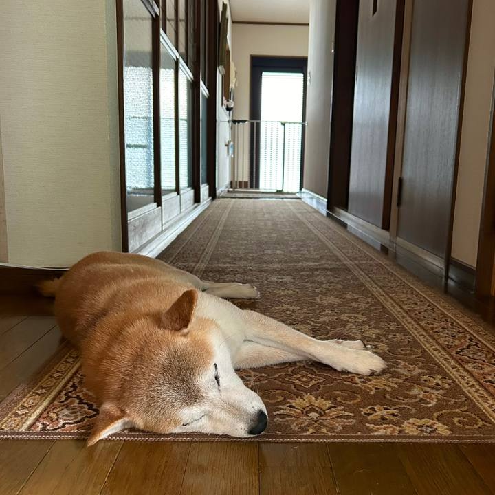 78cf7363 0add 45c7 9fbe b904f31fc77e 1722676228495