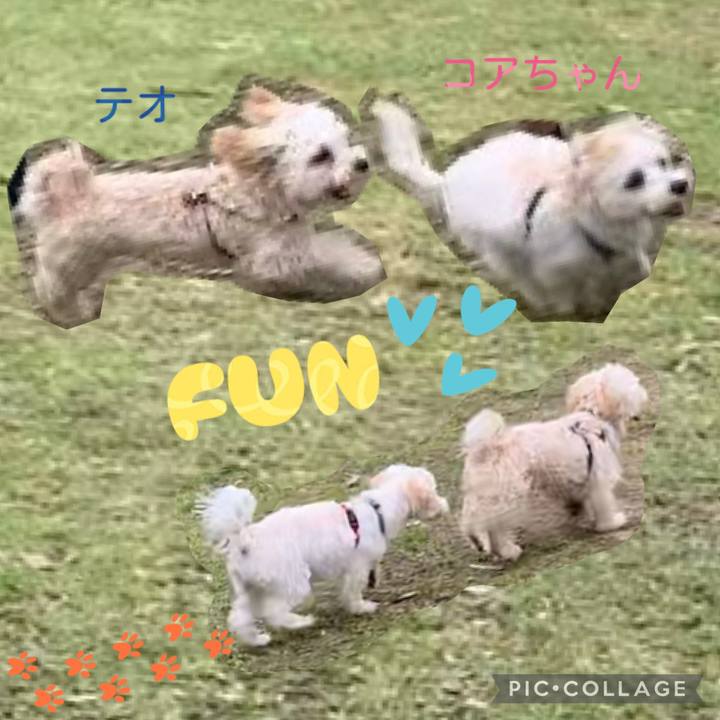 78cf84ee 16b3 4c2d 9c69 3d12c81be64e 1777453971721