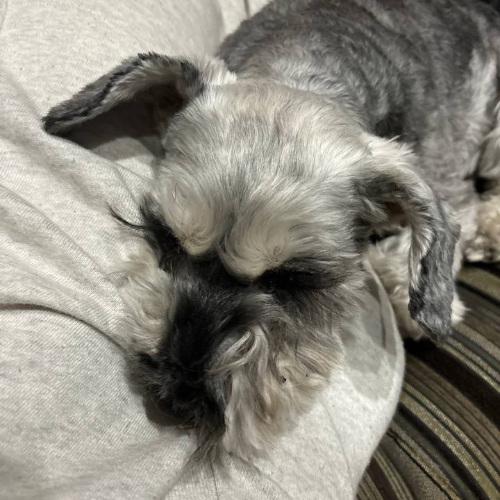 78cf89cc c511 462a 86c1 0130afba8fa1 1709297556308