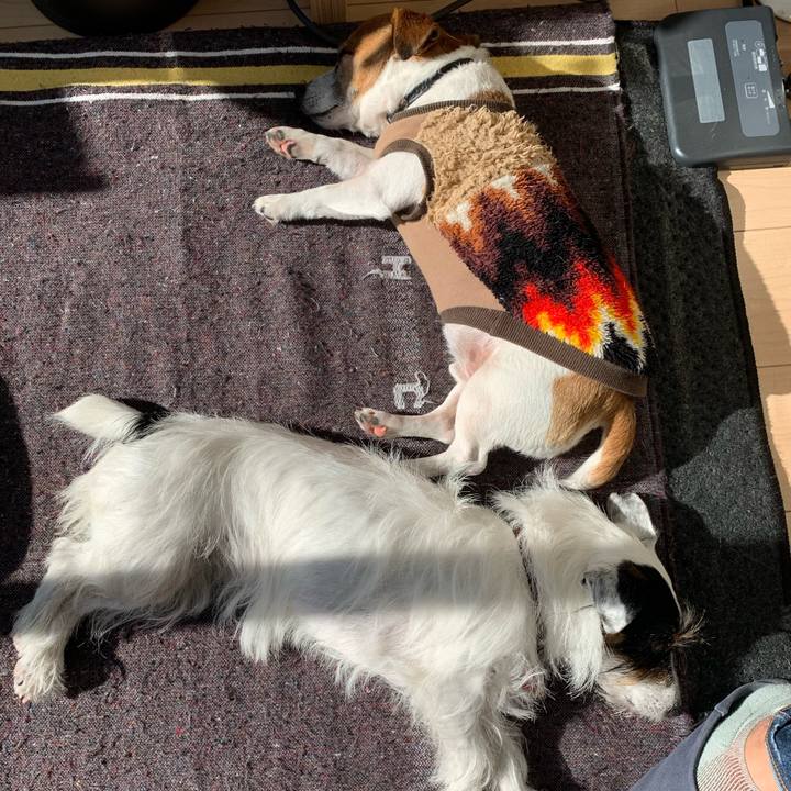 78cfa33f ecc7 430b b552 dd4654a561ca 1609300178437