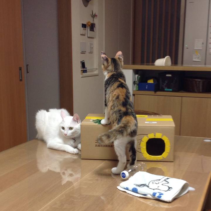 78cfb4e1 8273 461f 92ad e03c1fde673c 1642124138960