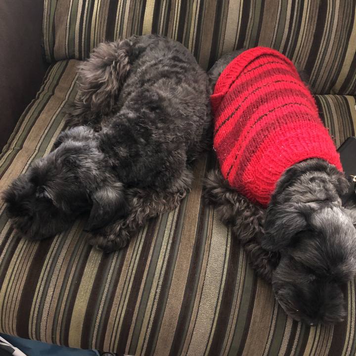 78cfbd8b c286 41f9 8286 3eeccb9c07b7 1574222559394