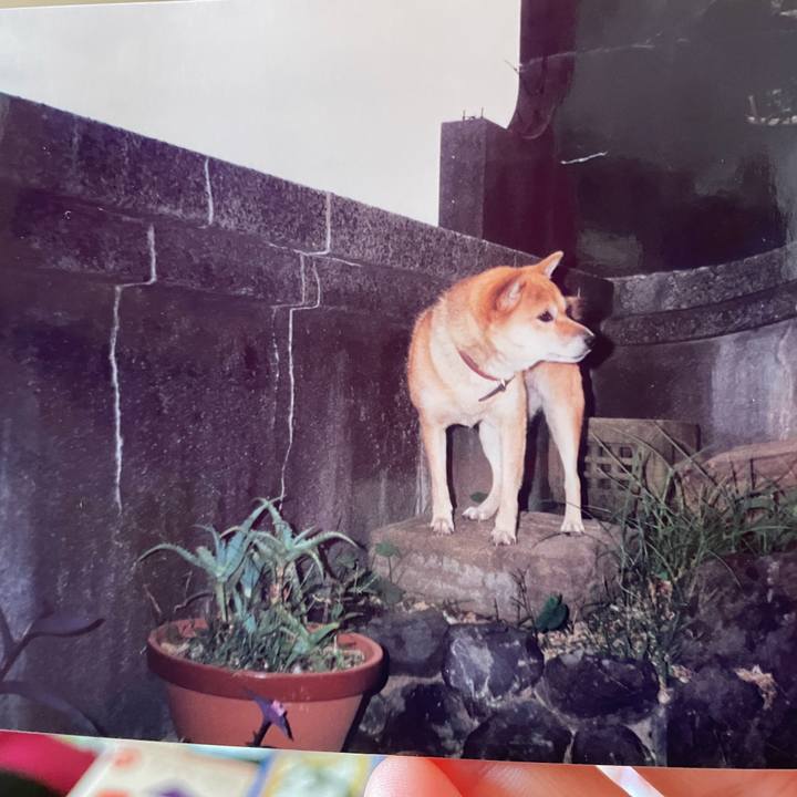 78cfbfdd 4a5f 4e2b b540 6ee2d313016f 1661922035621