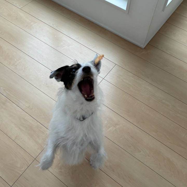 78d03e6f e205 4d2b 9ca6 3bddef44ee4c 1764721928518