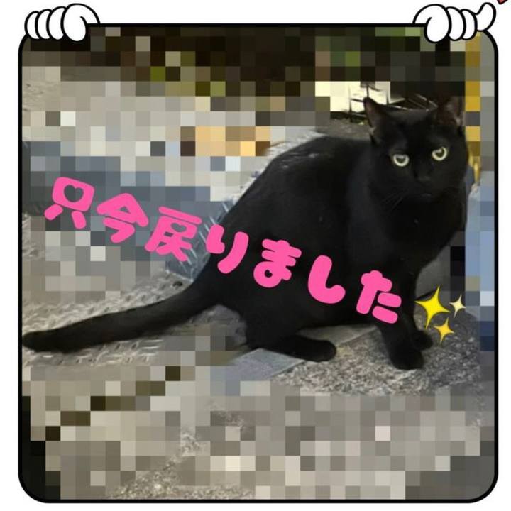 78d073c3 5159 45c5 b317 99d55c4010db 1652972562153