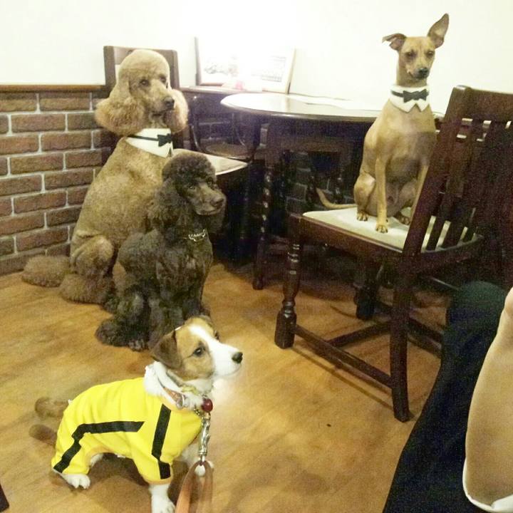 78d094c5 3d11 4ea3 8e3a 0000911a86df 1509229878317