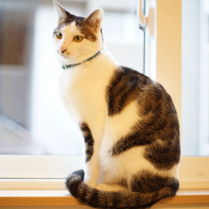 78d096a5 194a 44a0 b6c7 6f7634d31a00 1516145594503