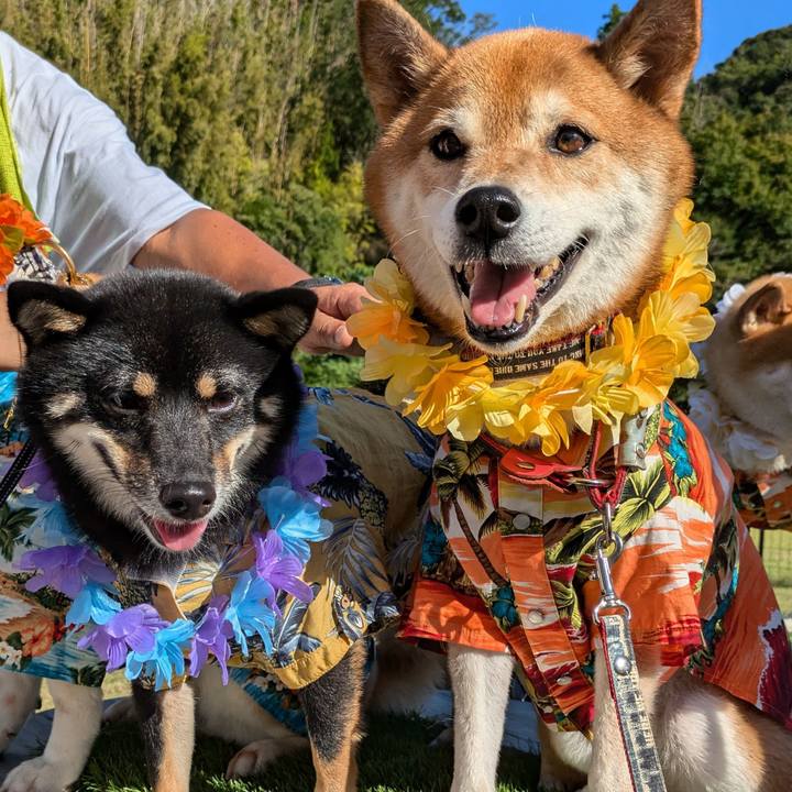 78d0c322 241e 469e aa6e 16cb9a2e24df 1722850386961